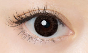 Flanmy 1Day Color Contacts - 30 Per Box - Pwr: - 03.25 Cacao Waffle Made In Japan