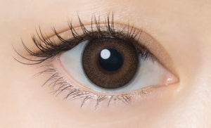 Flanmy Color Contacts 1 Day - Maple Chiffon - 30 Per Box - 01.50 Pwr - Made In Japan