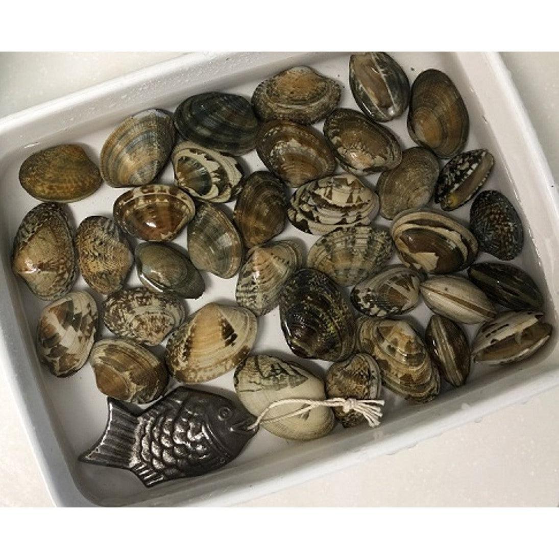 Tetsu no Kenko Tai Cast Iron Fish for Cooking - YOYO JAPAN