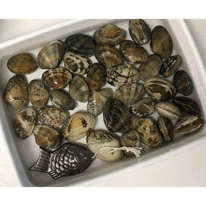 Tetsu no Kenko Tai Cast Iron Fish for Cooking - YOYO JAPAN