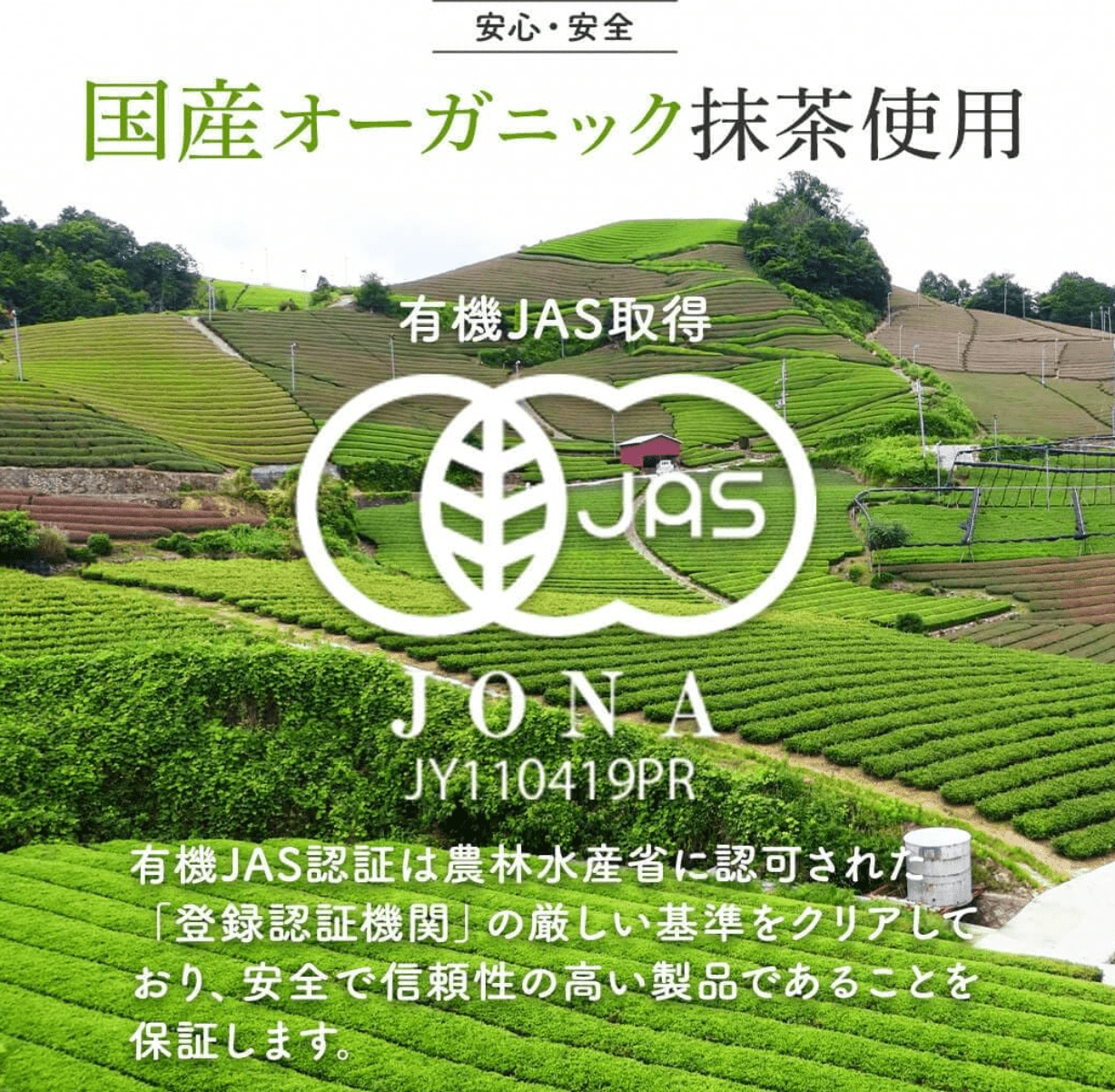 Gurutto Seikatsu Organic Matcha Powder, For Confectionery (100g)