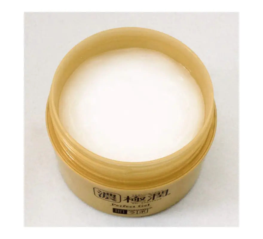 HadaLabo Gokujyun Perfect Gel (100g) - Japanese Skincare Lotions