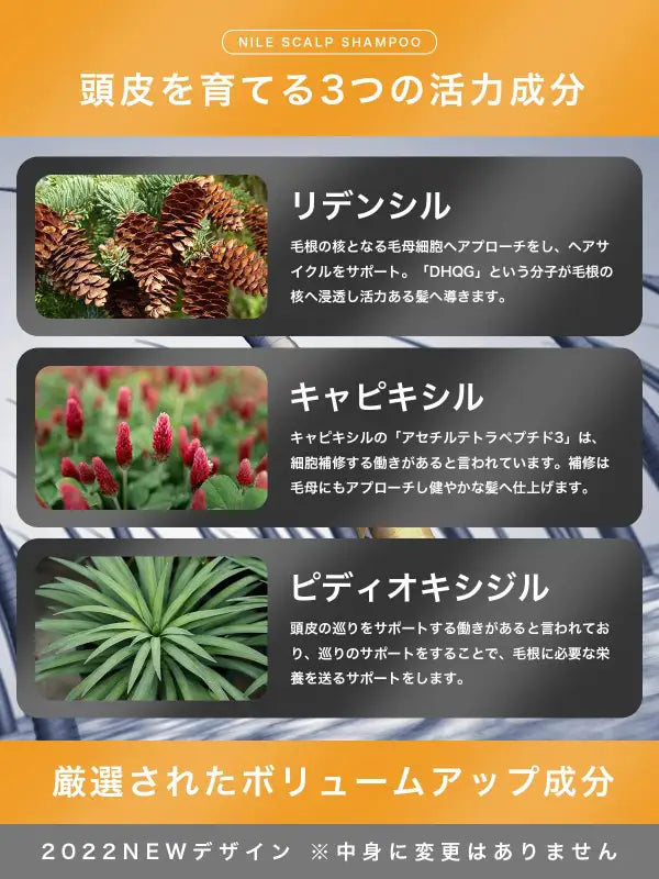 Nile Dense Foam Scalp Shampoo Men's La France Fragrance in 300ml, La France scent, perfect for daily haircare