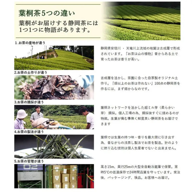 Hakiri Pesticide-Free Tenryu Tea Bag 100g - Natural Green Food and Beverages