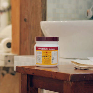 Otsuka Oronine H Ointment in 100g, moisturizing base, perfect for home use