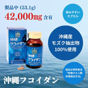 295mg x 180 Tablets Kanehide Bio Okinawa Fucoidan, vegan-friendly, designed for health enthusiasts
