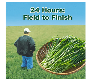 Nihon Yakuken [Set Of 8] Kin No Aojiru in 46 Packs, low-calorie blend, perfect for vegetable supplementation