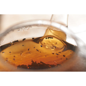 800ml Hario Jumping Teapot Danube Japan with stainless steel strainer, offering visual brewing enjoyment