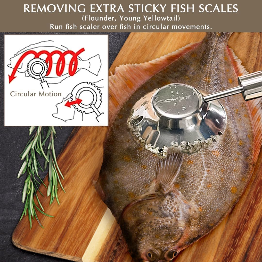 Prince Ginrin Fish Scaler in compact form, rust-resistant design, perfect for kitchen storage