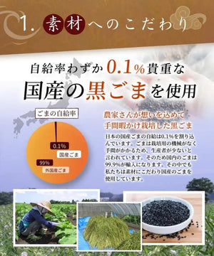 Honjien Tea Black Sesame Barley Tea Bag 5g x 50 Bags - Non - Caffeine Tea From Japan