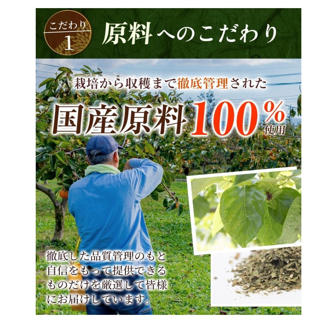 Honjien Tea Persimmon Leaf Tea 3g x 30 Bags - Non - Caffeine Tea - Pesticide Residue Testing