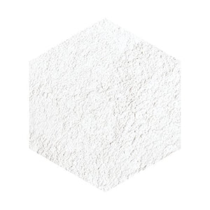 Integrate Japan Beauty Filter Foundation 0 No Color Type 9G