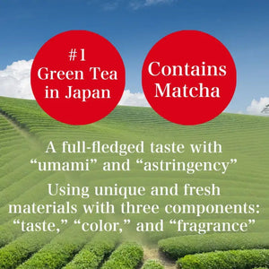 Itoen Oi Ocha Instant Green Tea With Matcha Powder 40g