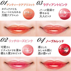 K - Palette Lasting Lip Tint 04 Noble Red 6.5G Japan Multicolor