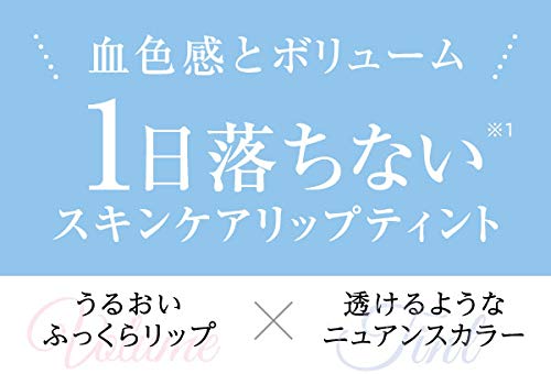 K - Palette Lasting Lip Tint Maxi Plus 01 Aurora Blue 8.5G