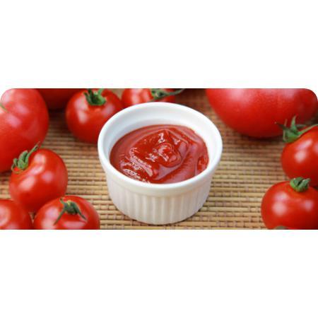 Kagome Low Sodium Japanese Organic Ketchup 300g