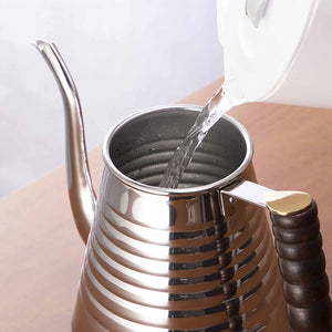 Kalita SSW Hand Drip Gooseneck Kettle (Stainless Steel Pour Over Coffee Pot) 1L