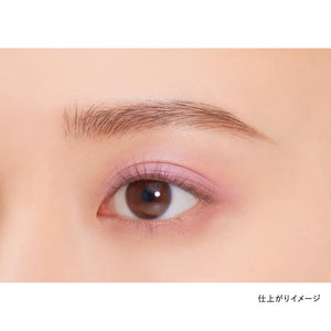 Kanebo Eye Color Duo 22 - Premium Quality Makeup from Kanebo