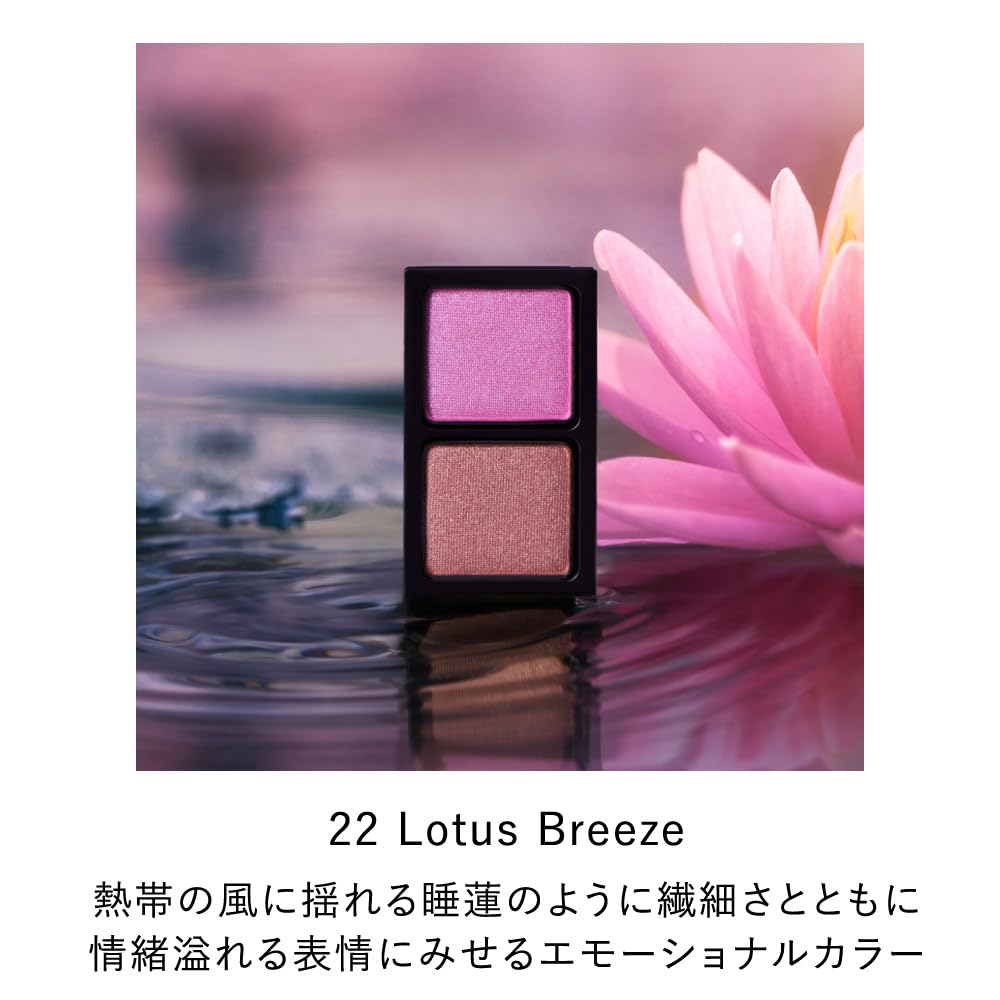 Kanebo Eye Color Duo 22 - Premium Quality Makeup from Kanebo