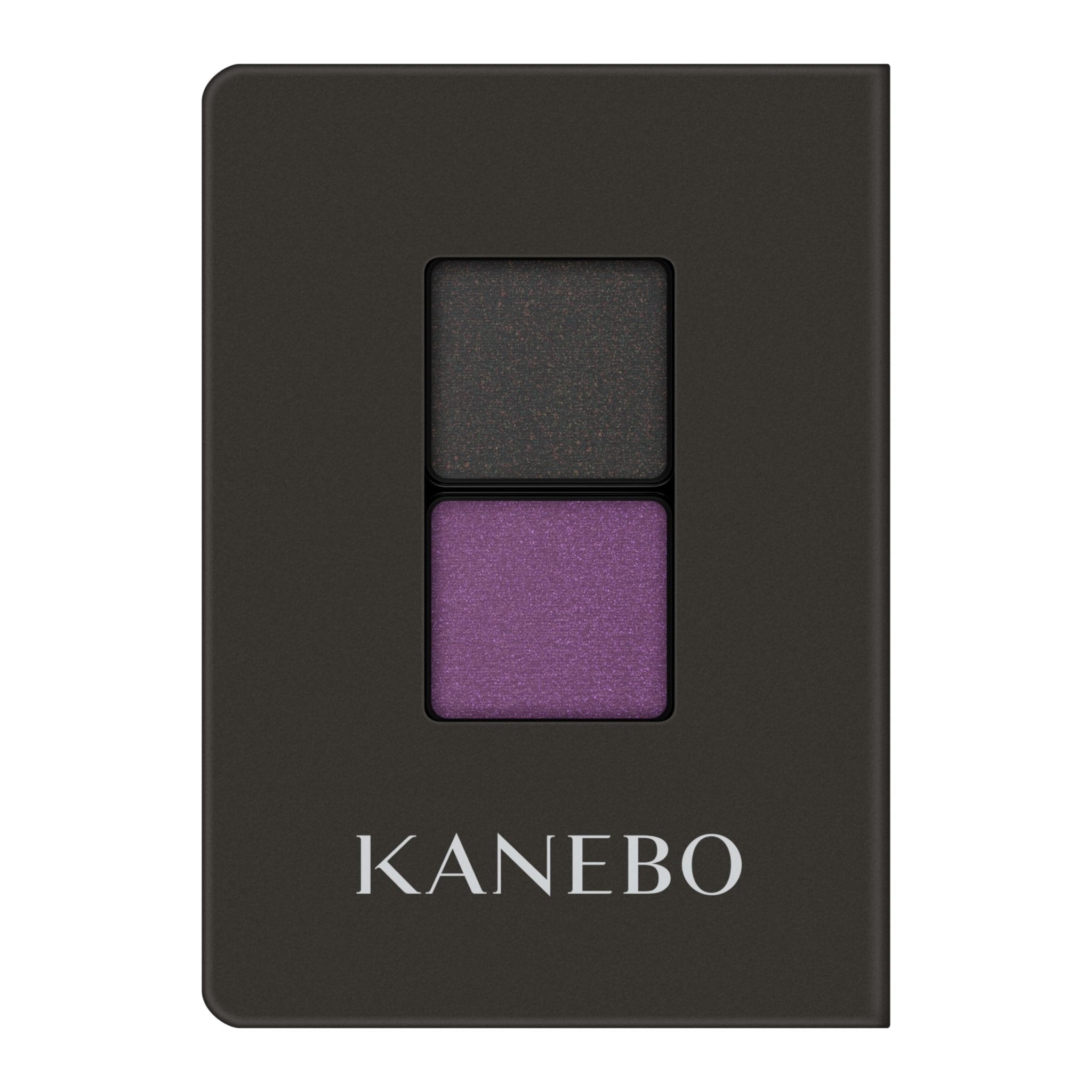 Kanebo Eye Color Duo Ex10 - High Pigmented & Long Lasting Shadow