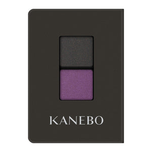 Kanebo Eye Color Duo Ex10 - High Pigmented & Long Lasting Shadow