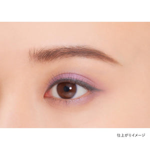 Kanebo Eye Color Duo Ex10 - High Pigmented & Long Lasting Shadow