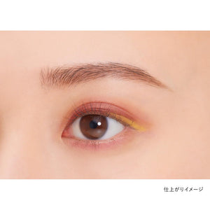 Kanebo Eye Color Duo No. 23 - Dual Shade Eyeshadow by Kanebo