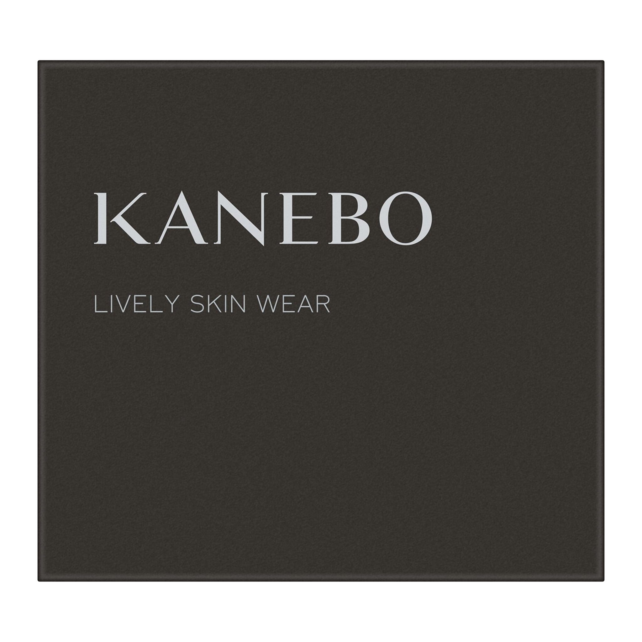 Kanebo Lively Skin Wear Ocher E Shade 1 Piece - Enhance Your Complexion