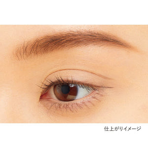 Kanebo Trick Gray Dual Eyeliner EC1 0.35ml