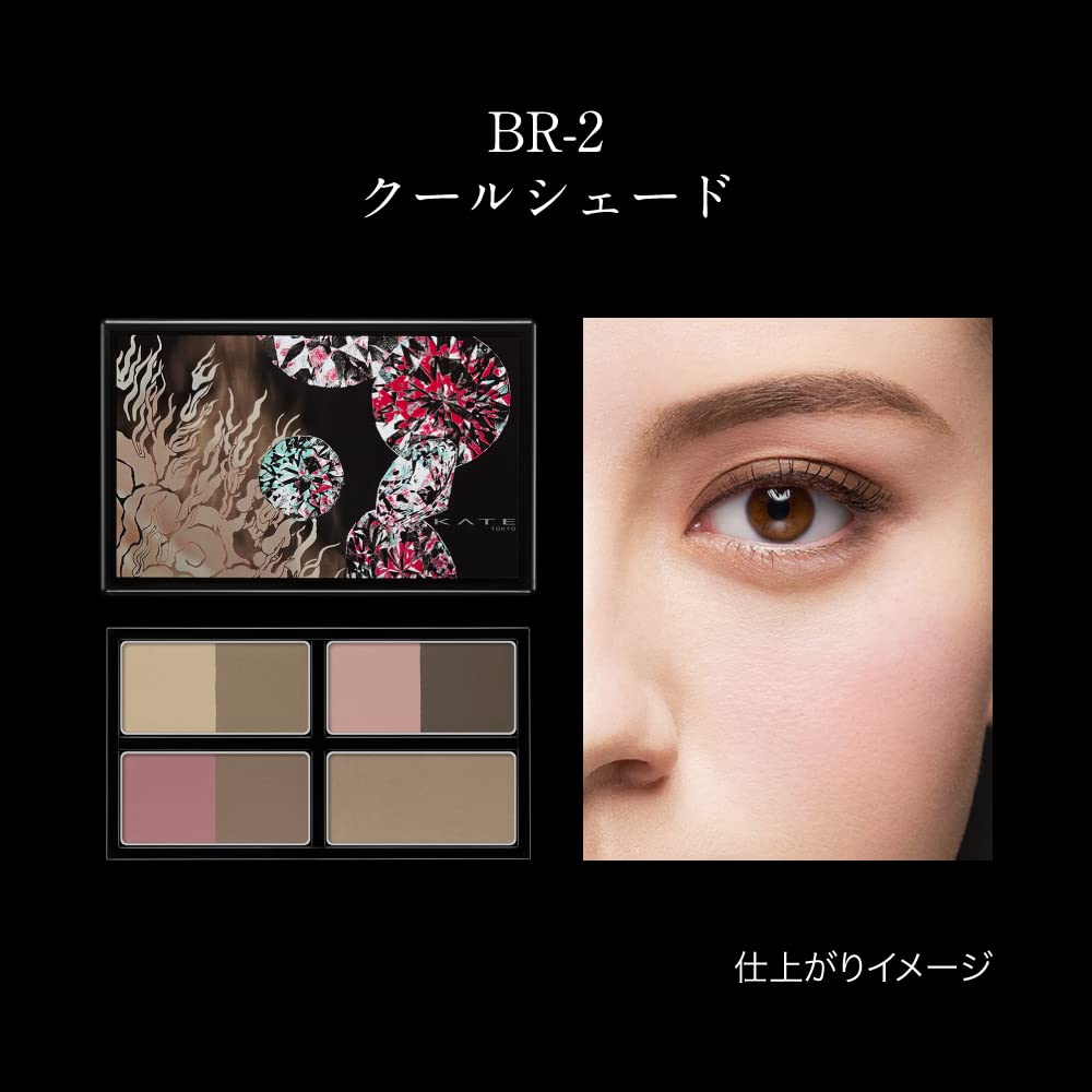 Kate 3D Designing Shade Palette Br - 1 Luxury Eye Makeup Collection