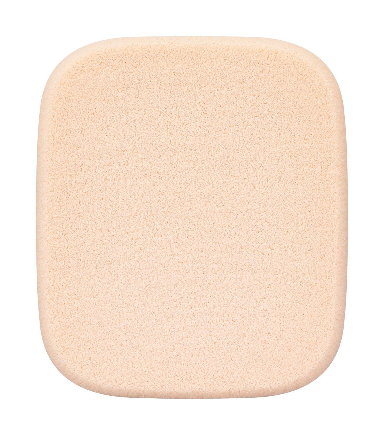 Kate Standard Skin Powder Foundation Secret Skin Maker Zero 02