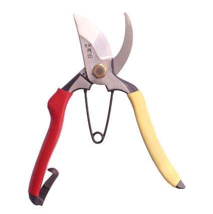 Tobisho Hand Forged Pruners SR-2 185mm in use, perfect for careful plant trimming