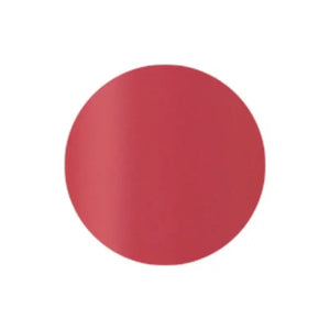 Kose Elsia Platinum Complexion Up Lasting Rouge Pk810 Pink 5g - Moisturizing Lip Gloss Makeup