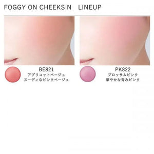 Kose Visee Foggy On Cheeks N BE821 5g - Makeup Products For Cheek Japanese Blush Skincare