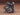 Kotobukiya Armored Core Verdict Day Co3 Malicious Rip3/M Blue Magnolia Boarding Machine 1/72 Plastic Model Japan (Pre
