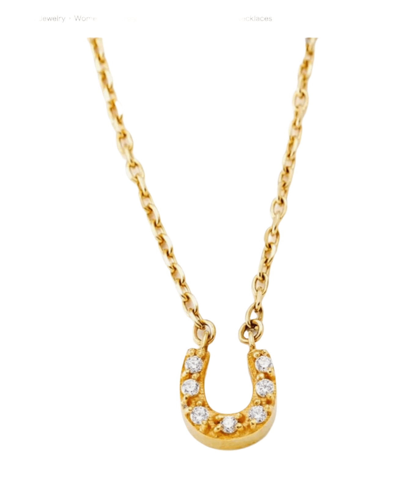 [Liery] Magnetic Necklace, Horseshoe Necklace, Gold, Free Size, Women's Stiff Necklace