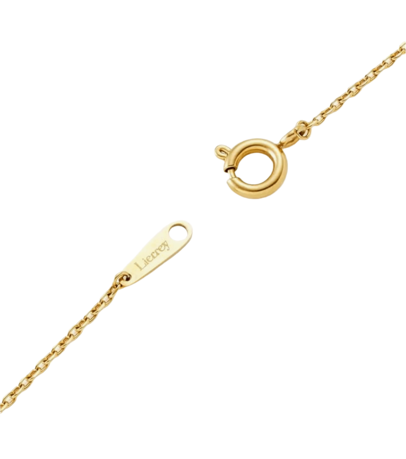 [Liery] Magnetic Necklace, Horseshoe Necklace, Gold, Free Size, Women's Stiff Necklace