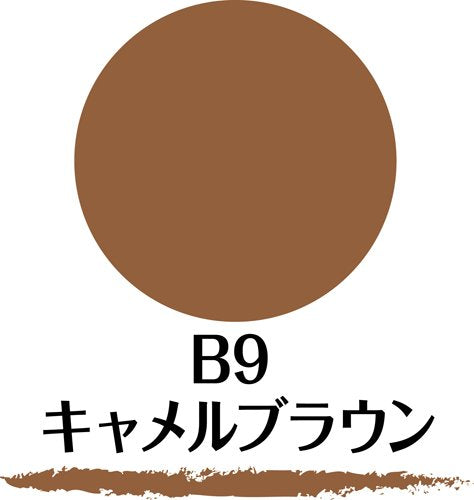 Sana New Born W Eyebrow Ex B9 Eyebrow Pencil Camel Brown in 10g, blending brush, perfect for soft brow finishing