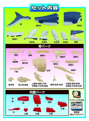 Megahouse Mammoth Mosasaurus Kaitai Puzzle Series Buy Animal Made In Japan