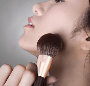 MSQ Makeup Brushes Set of 10 with Makeup Pouch