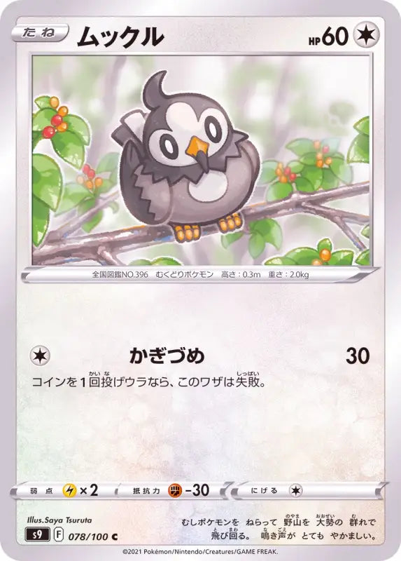 Muckle - 078/100 S9 C MINT Pokémon TCG Japanese Pokemon card