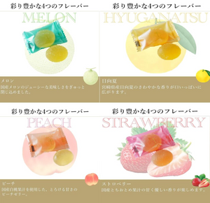 Ginza Sembikiya Ginza Bite-sized Fruit Jelly - YOYO JAPAN