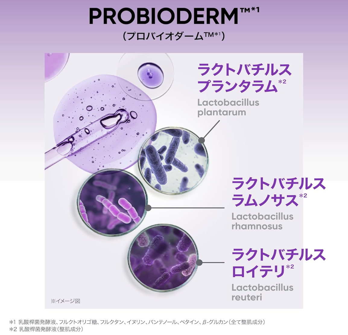 BIOHEAL BOH Skin Moisturizing Cream (50ml) - YOYO JAPAN