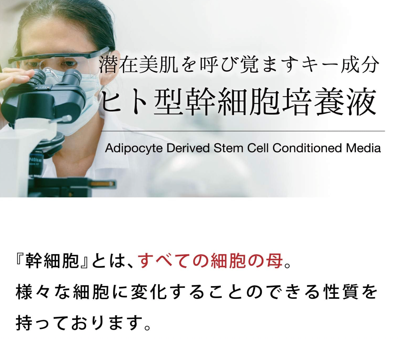 Mimura Hitogata Skin Cream, a human stem cell liposome moisturizing cream (30g) - YOYO JAPAN