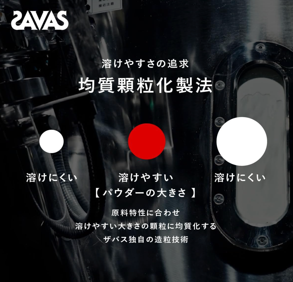 SAVAS Whey Protein 100 Rich Chocolate Flavor (980g) - YOYO JAPAN