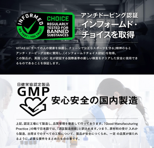 VITAS Whey Protein 100, Chocolate Flavor (1kg) - YOYO JAPAN