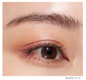 Lunasol Icon Special Edition EX04 8 Color Palette - YOYO JAPAN