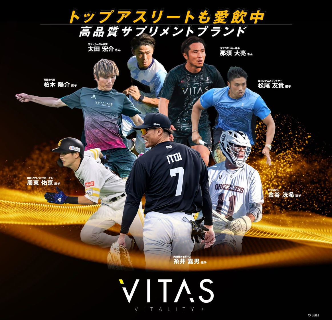 VITAS VITA POWER Maca Zinc, Multivitamins, 120 Capsules - YOYO JAPAN