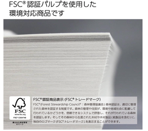 Kokuyo copy paper A3 Paper Thickness 0.09 mm 500 Sheets FSC Certified KB-38N Parent - YOYO JAPAN