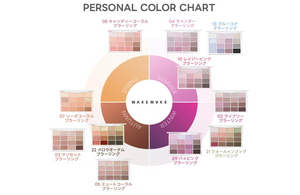 WAKEMAKE Official Soft Blurring Eye Palette (05 Mute Coral Bluring) - YOYO JAPAN